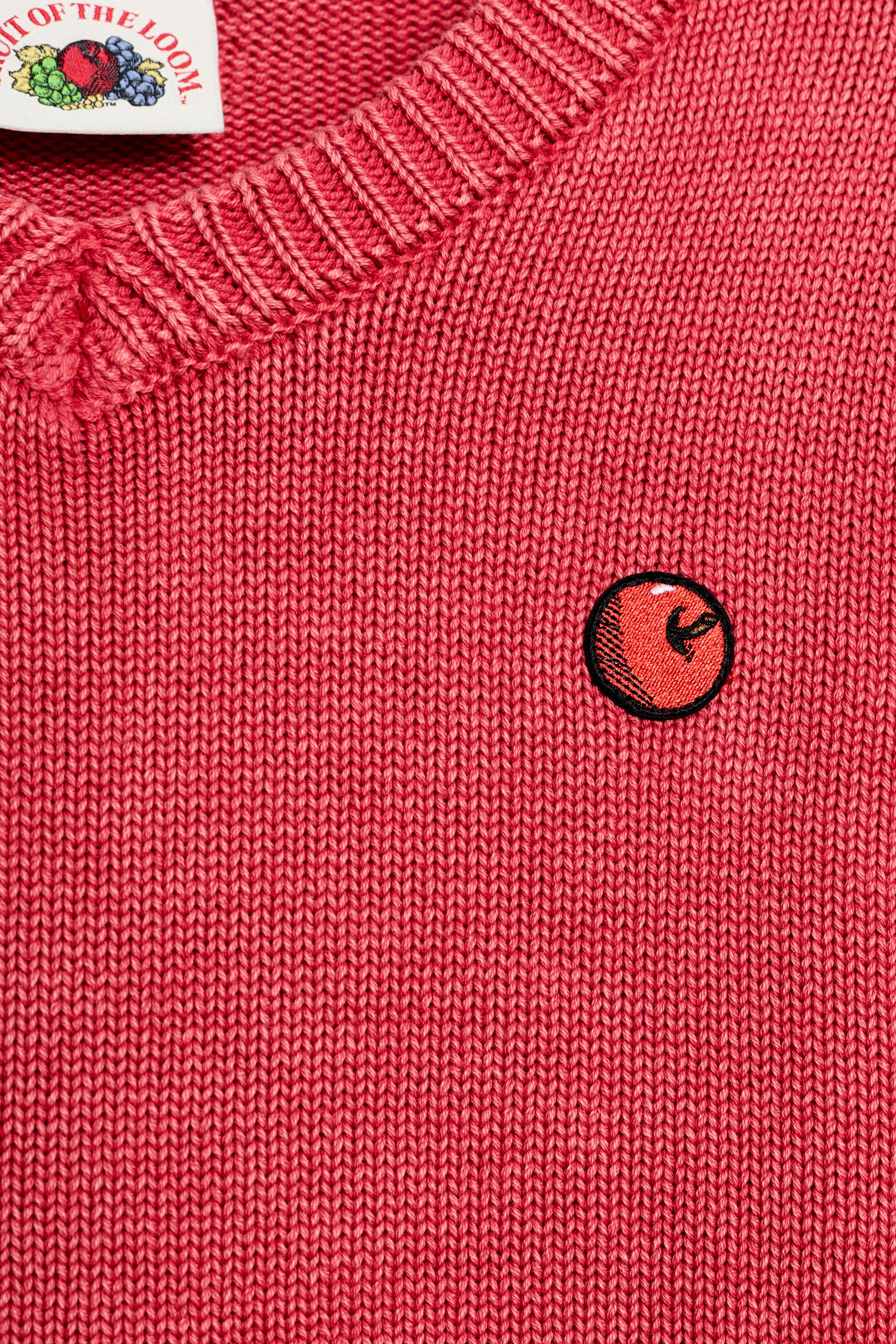 PULL EN MAILLE À COL V FRUIT OF THE LOOM™